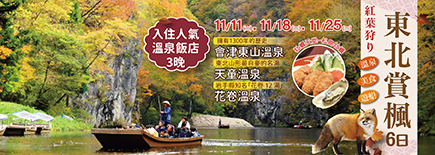 東北賞楓6日